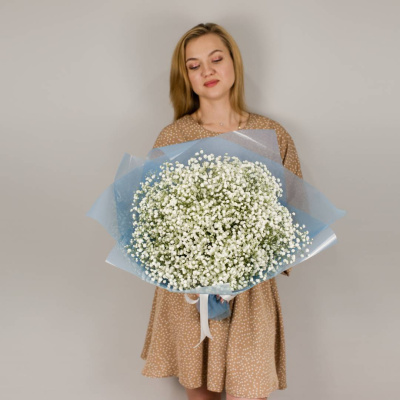 Букет из белых гипсофил N 50455