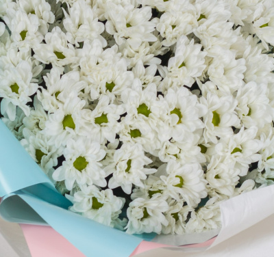 Букет-гигант из 15 хризантем 36151