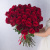 Букет из 51 Красной розы 60 см арт. 7298 Букет из 51 Красной розы 60 см арт. 7298