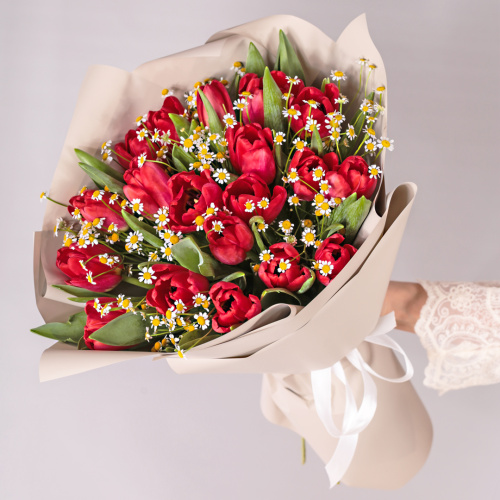 Букет из 19 красных тюльпанов с ромашками арт. 46334