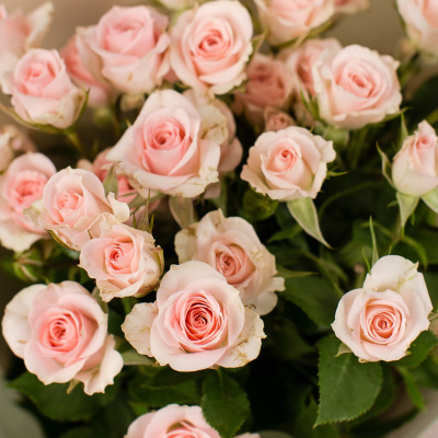 Букет из нежных кустовых роз 50403-СвР