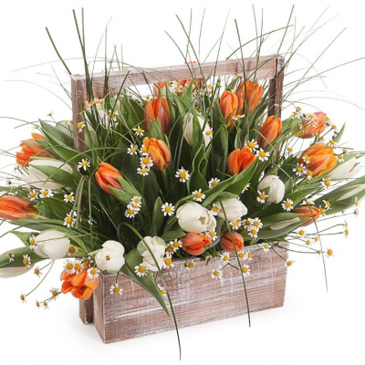 Ящик с тюльпанами XL 28961