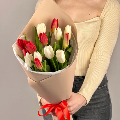 Букет из 15 красно-белых тюльпанов 28405